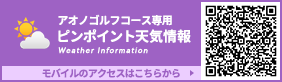 ピンポイント天気情報