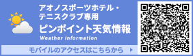 ピンポイント天気情報